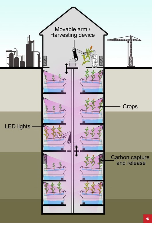 노팅엄 대학교(University of Nottingham)이 발표한 딥팜의 가상 모습(이미지출처: https://www.popularmechanics.com)