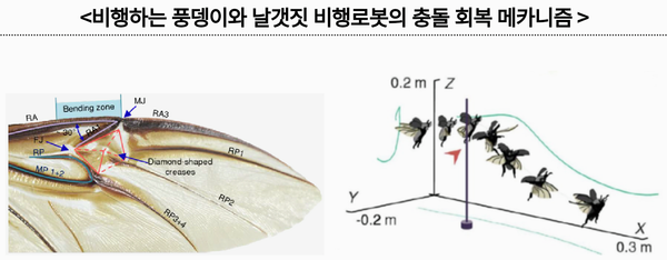 자료: 과기정통부