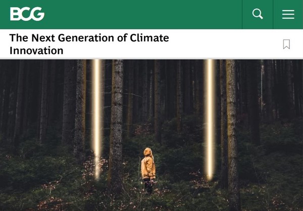 사진: BCG 홈페이지 캡처
