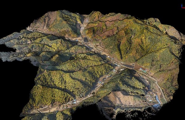 사진: 국립산림과학원