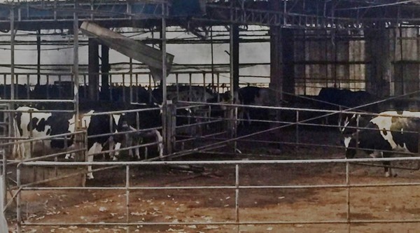  *사진 : 농림축산부 블로그 갈무리