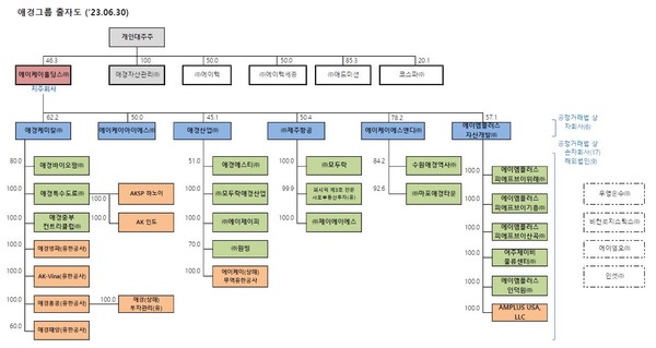 애경그룹 출자도. AK홀딩스 반기보고서