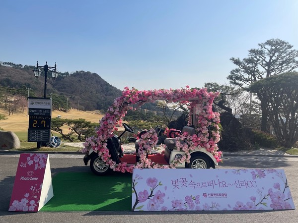  * 벚꽃카트 포토죤