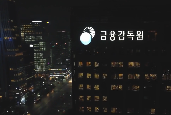 [출처: 2018년 금융감독원 기관홍보영상]