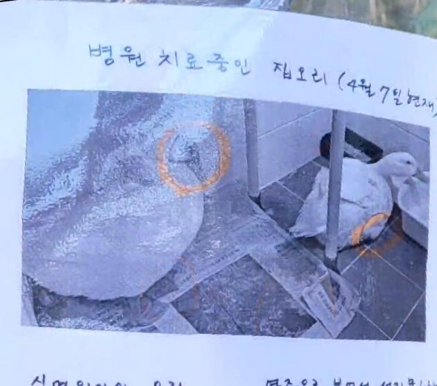 온라인 커뮤니티 네이트판