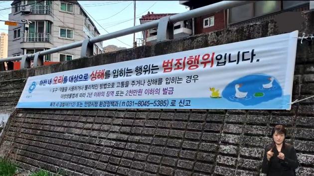 온라인 커뮤니티 네이트판