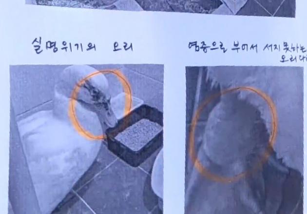 온라인 커뮤니티 네이트판