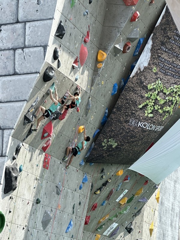 제14회 고미영컵 전국 청소년 스포츠클라이밍 대회 장면