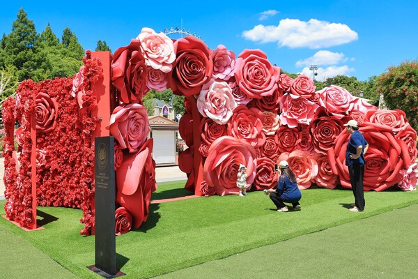 에버랜드 장미축제 올해 장미원 중앙에 새롭게 선보인 장미 시그니처 포토스팟