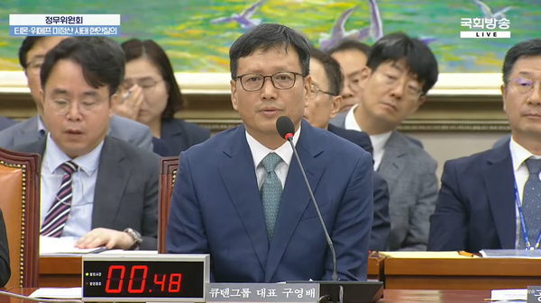 구영배 큐텐그룹 대표 [출처: 국회방송 유튜브 갈무리]