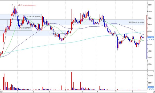  * 주가 일봉 차트