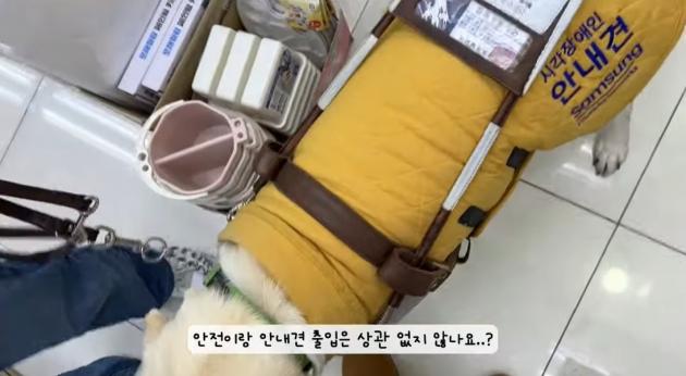 (유튜브' 우령의 유디오')