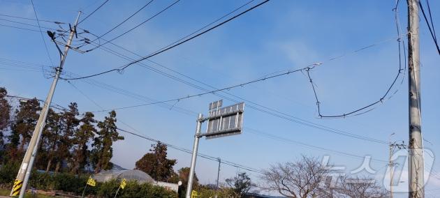 16일 오후 서귀포시 강정동에서 통신선이 강한 바람에 늘어져있다.(제주소방안전본부 제공. 재판매 및 DB 금지)