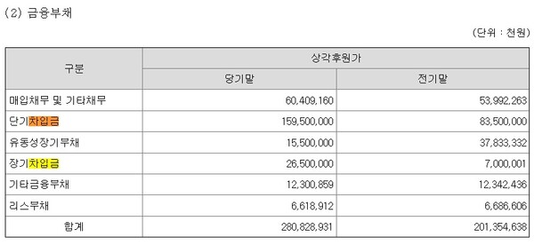  * bbq 금융부채 현황. 감사보고서 중에서 발췌.