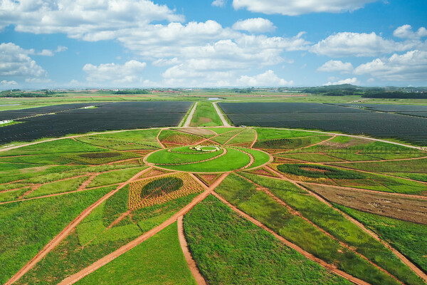 솔라시도 태양의 정원 (사진=BS그룹)