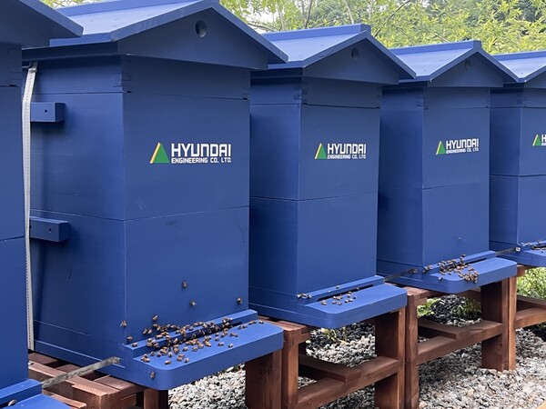 서울 강북구 북서울꿈의숲에 조성된 ‘꿀벌 서식지’ 내 마련된 꿀벌 거주지 (사진제공=현대엔지니어링)