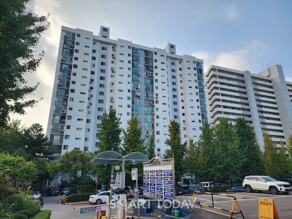 압구정1구역 미성아파트 전경. 출처=김종현 기자