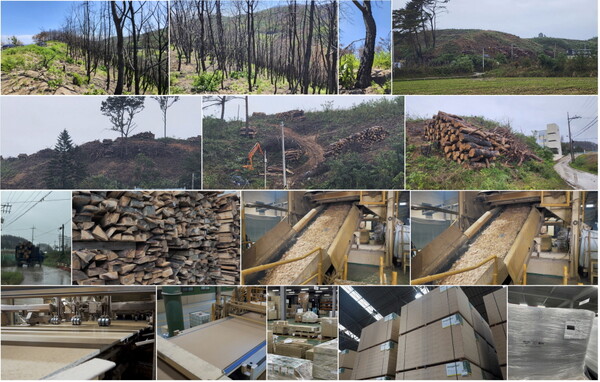  * 안동 산불 피해목이 2025 APEC 정상회의 공식 사무용 가구로 재탄생한 전 과정을 담은 기록. 사진 제공=코아스