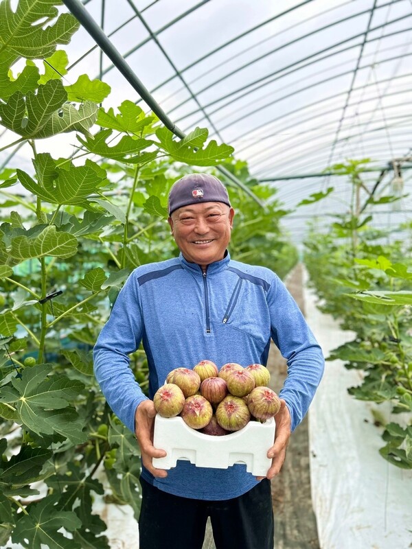 전남 함평에 위치한 '함평농부' 채상희 대표가 무화과 상자를 들고 있다. (사진제공=쿠팡)