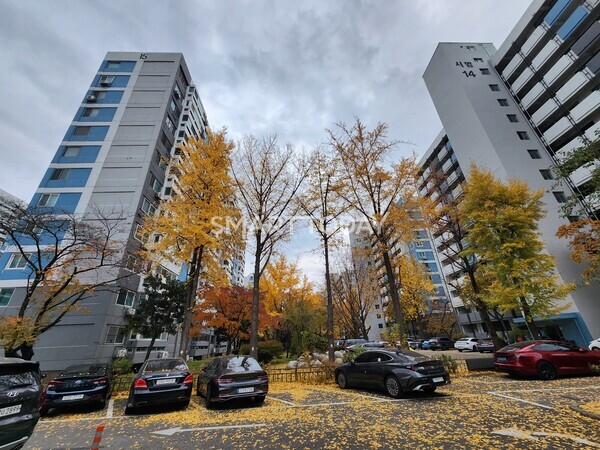 여의도 시범아파트 단지 일대 전경. 출처=김종현 기자